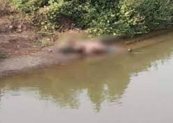 जबलपुर पटवारी पति अपनी पत्नी का गला घोंट, चुपचाप करने लगा था नौकरी