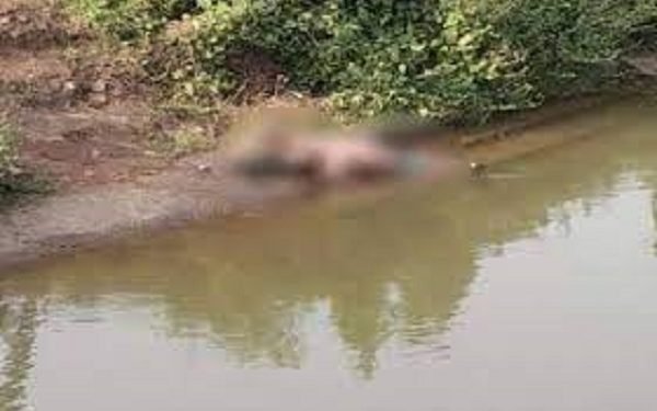 जबलपुर पटवारी पति अपनी पत्नी का गला घोंट, चुपचाप करने लगा था नौकरी