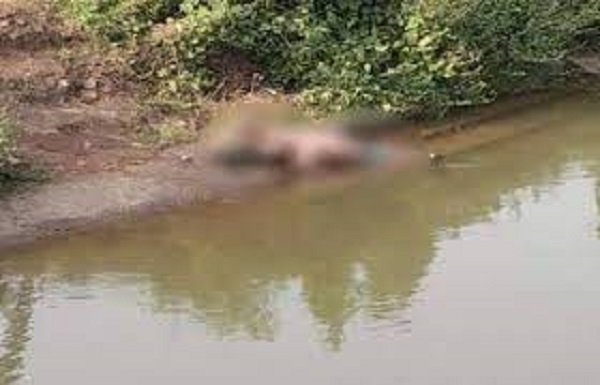 जबलपुर पटवारी पति अपनी पत्नी का गला घोंट, चुपचाप करने लगा था नौकरी