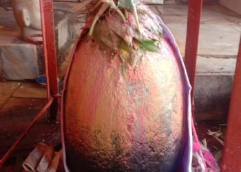 भगवान भोलानाथ के भक्तों की भक्ति का माह आया, अब सावन झूमेगा भी और सावन में जप,तप भी होगा