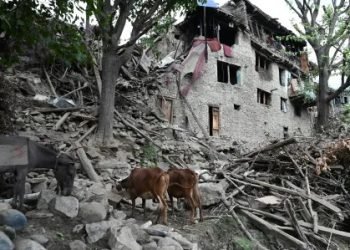 अफगानिस्तान में आए 6.0 तीव्रता के भूकंप ने तबाही मचाई