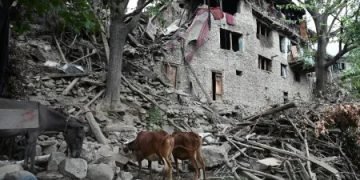 अफगानिस्तान में आए 6.0 तीव्रता के भूकंप ने तबाही मचाई