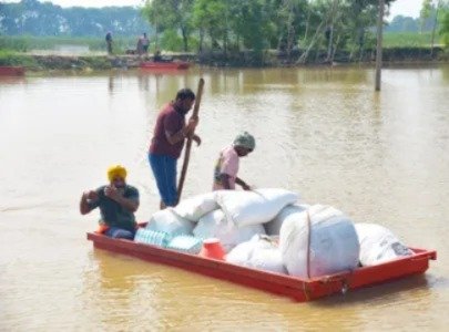 पंजाब में मानसून की तबाही ने पूरे राज्य को किया जलमग्न