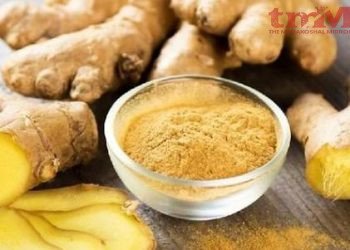 अदरक को सिर्फ चाय तक सीमित ना रखें, सेहत के लिए है बेहद गुणकारी