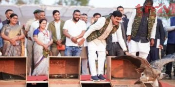 मुख्यमंत्री डॉ. यादव ने लुप्तप्राय प्रजातियों के 5 गिद्धों को हलाली डेम जल क्षेत्र में किया मुक्त