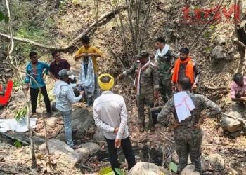 तेंदूपत्ता तोड़ रहे युवक पर बाघ ने किया जानलेवा हमला