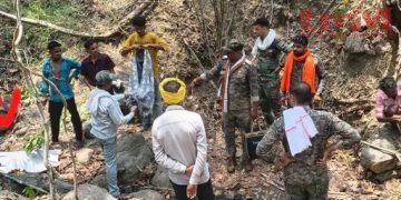 तेंदूपत्ता तोड़ रहे युवक पर बाघ ने किया जानलेवा हमला