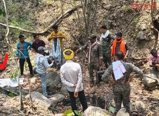 तेंदूपत्ता तोड़ रहे युवक पर बाघ ने किया जानलेवा हमला