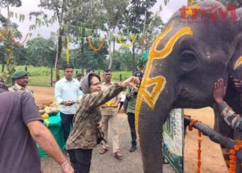 सतपुड़ा टाइगर रिजर्व में हाथियों के स्वास्थ्य, पोषण एवं समग्र कल्याण को समर्पित सात दिवसीय “हाथी महोत्सव” का शुभारंभ