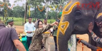 सतपुड़ा टाइगर रिजर्व में हाथियों के स्वास्थ्य, पोषण एवं समग्र कल्याण को समर्पित सात दिवसीय “हाथी महोत्सव” का शुभारंभ