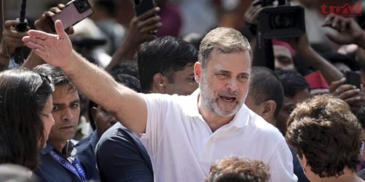 मैं चाहता हूं कि मेरे ऊपर 100 केस हों : राहुल गांधी