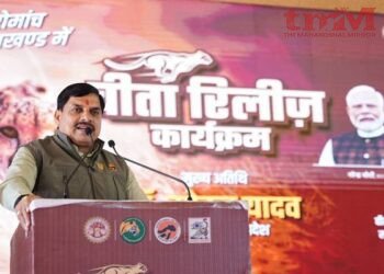मध्यप्रदेश की धरती पर बुंदेलखंड में चीतों को मिला तीसरा ठिकाना,मुख्यमंत्री डॉ. यादव ने 2 चीते किये विमुक्त