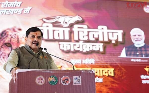 मध्यप्रदेश की धरती पर बुंदेलखंड में चीतों को मिला तीसरा ठिकाना,मुख्यमंत्री डॉ. यादव ने 2 चीते किये विमुक्त